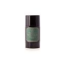 Taylor - Royal Forest - Deo Stick - 75g