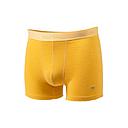 Billybelt - Boxer - Safran chiné - 2XL