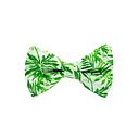 [JA/NP.MO.JUNG.10] Jaggs - Nœud papillon Jungle Mood - Vert