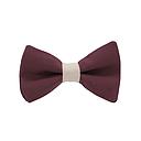 [JA/NP.UN.DALL.01] Jaggs - Bow tie "Dallas" - raspberry pink bow tie - Coral ring