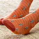 [BB/CHL13] BillyBelt - Cotton socks - Orange cactus
