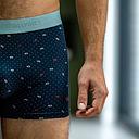 [BB/BO56-T1] Billybelt - Boxer - Fischer - S