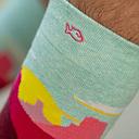 [BB/CHL23] BillyBelt - Combed cotton patterned socks - Brice Canyon