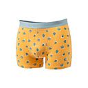 [BB/BO58-T3] Billybelt - Boxer - Saguaro - L