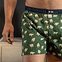 [BB/CA53-T5] BillyBelt - Caleçon en coton bio - Irish - Taille 2XL