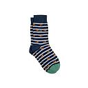 [BB/CHA26] BillyBelt - Combed cotton socks Animals - Cat