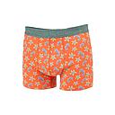 [BB/BO77-T2] Billybelt - Boxer - Seahorse - M