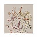 [BV/82054000] Blooming Ville - Sirri Serviette